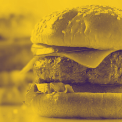 Cheese Burger (1)
