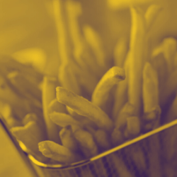 Fries (1)